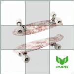 22 inch plastic Cruiser Skateboard with print design