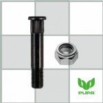 Kingpin with Lock Nut