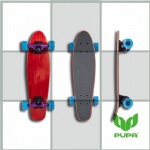 22.5*6 inch kicktail Crusier skateboard Complete