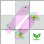 22 inch plastic Cruiser Skateboard