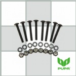 1.5 inch Skateboard Bolts&Nuts with Panhead