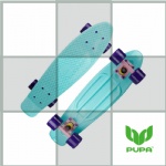 22 inch plastic Cruiser Skateboard